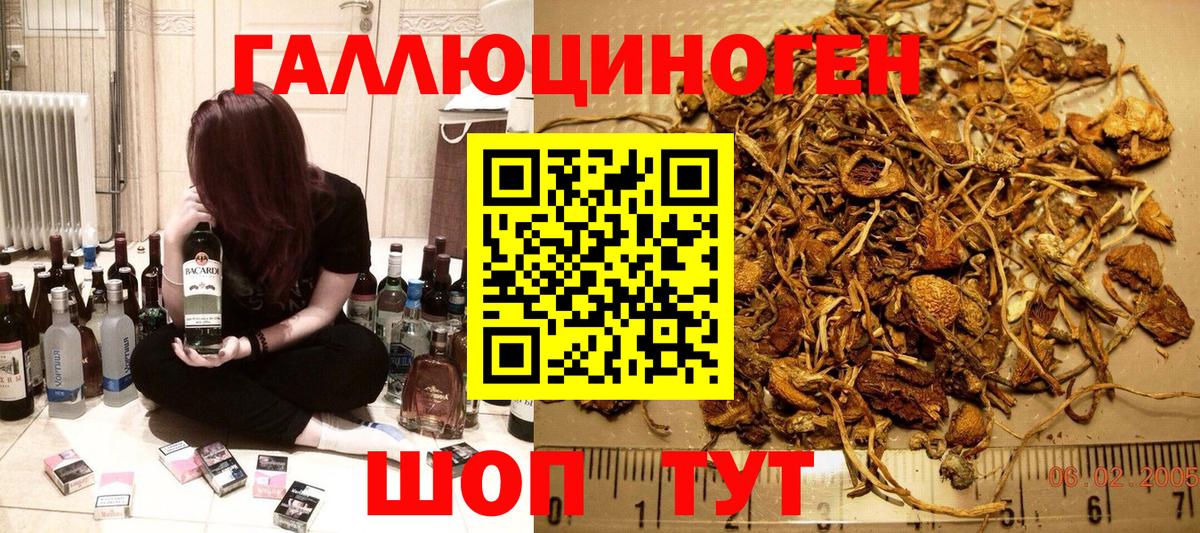 Псилоцибиновые грибы мухоморы Новый Уренгой