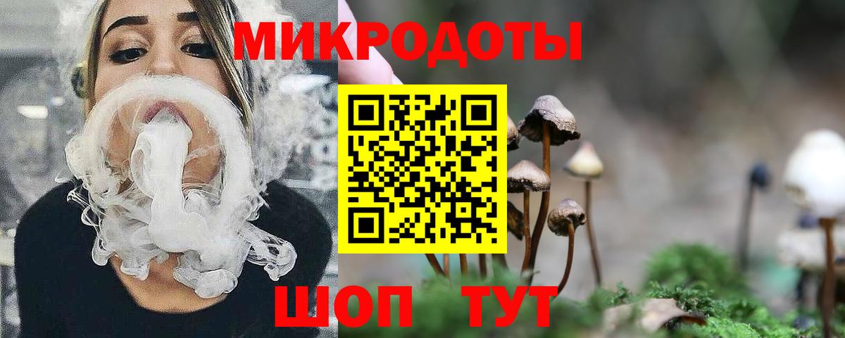 Галлюциногенные грибы MAGIC MUSHROOMS  Вход с VPN  Новый Уренгой  Галлюциногенные грибы MAGIC MUSHROOMS 